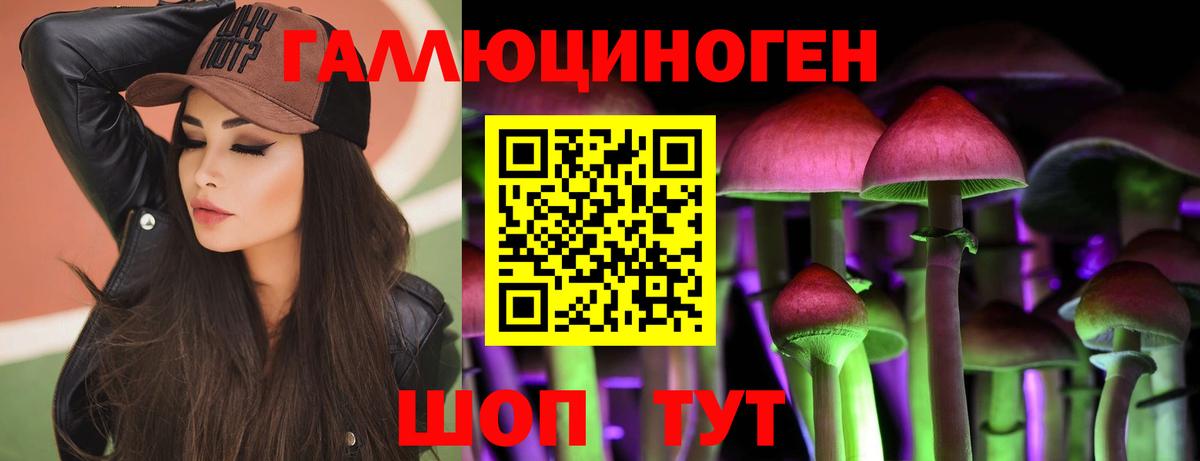 Полевской  Псилоцибиновые грибы Cubensis  Вход с VPN 